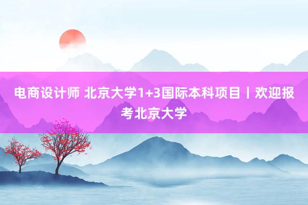 电商设计师 北京大学1+3国际本科项目丨欢迎报考北京大学