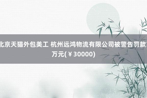 北京天猫外包美工 杭州远鸿物流有限公司被警告罚款3万元(￥30000)