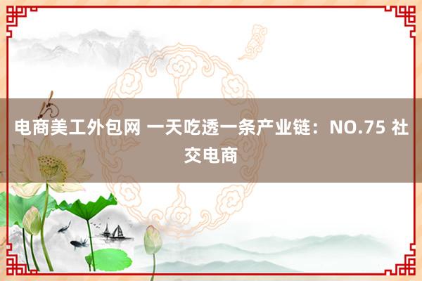 电商美工外包网 一天吃透一条产业链：NO.75 社交电商