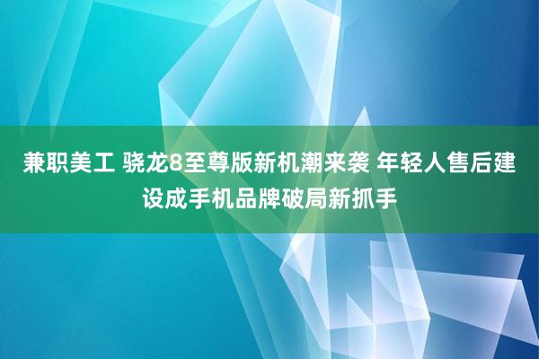 兼职美工 骁龙8至尊版新机潮来袭 年轻人售后建设成手机品牌破局新抓手